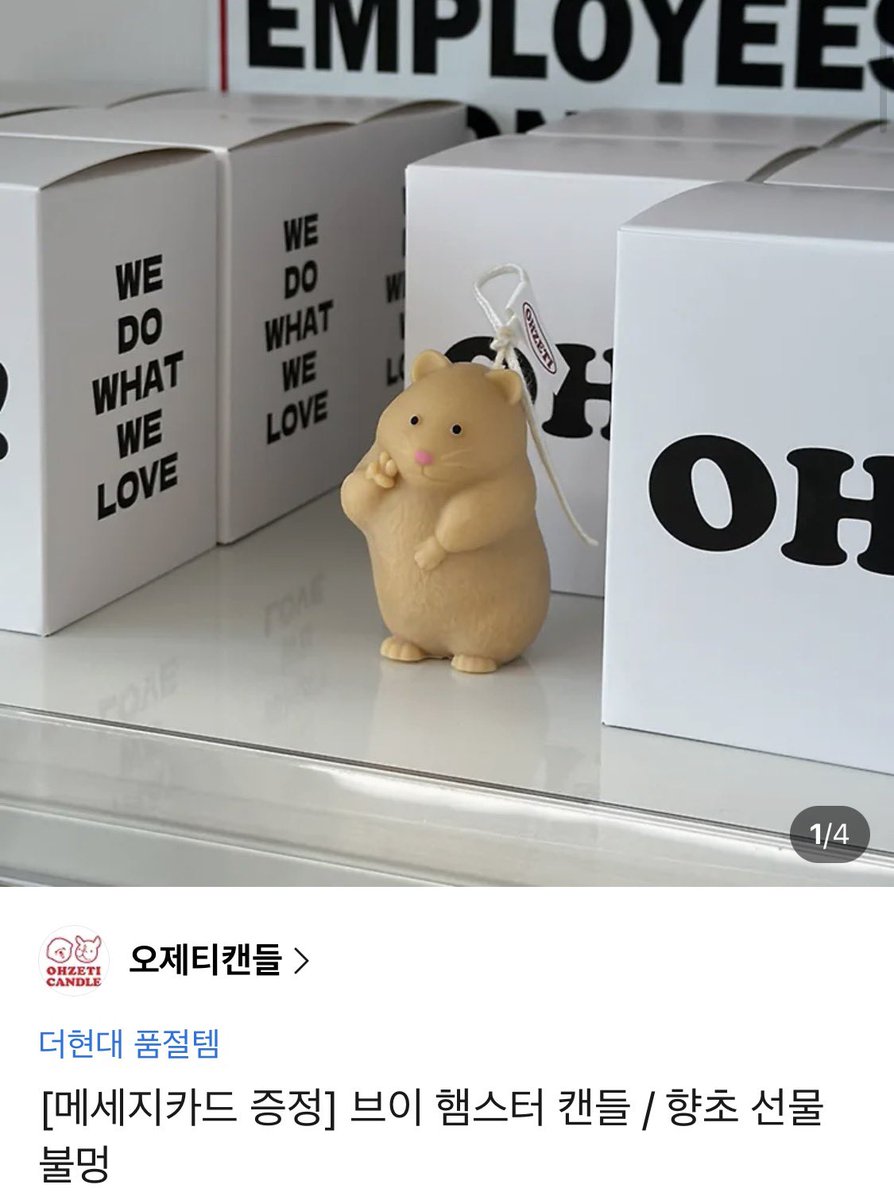 빵이!! tweet media
