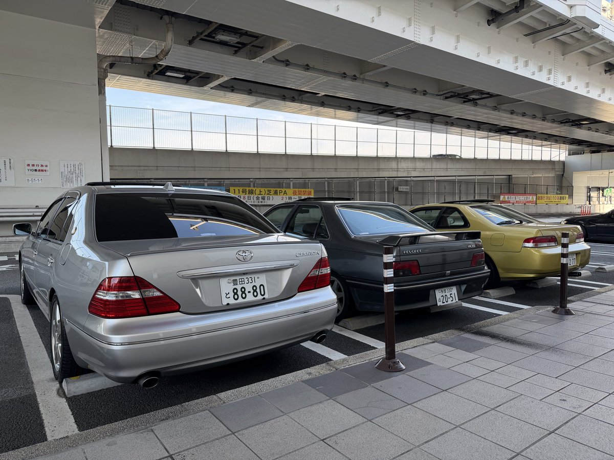 ナタネ tweet media