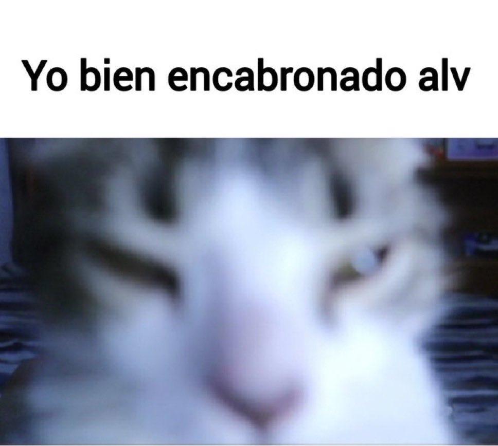 Vron81sky's tweet photo. @Elko_lin Gana sukuna
Le quitaste practicamente el infinitoa gojo
Y sukuna le acabas de dar un buffeo tremendo https://t.co/kAveRb2EE3