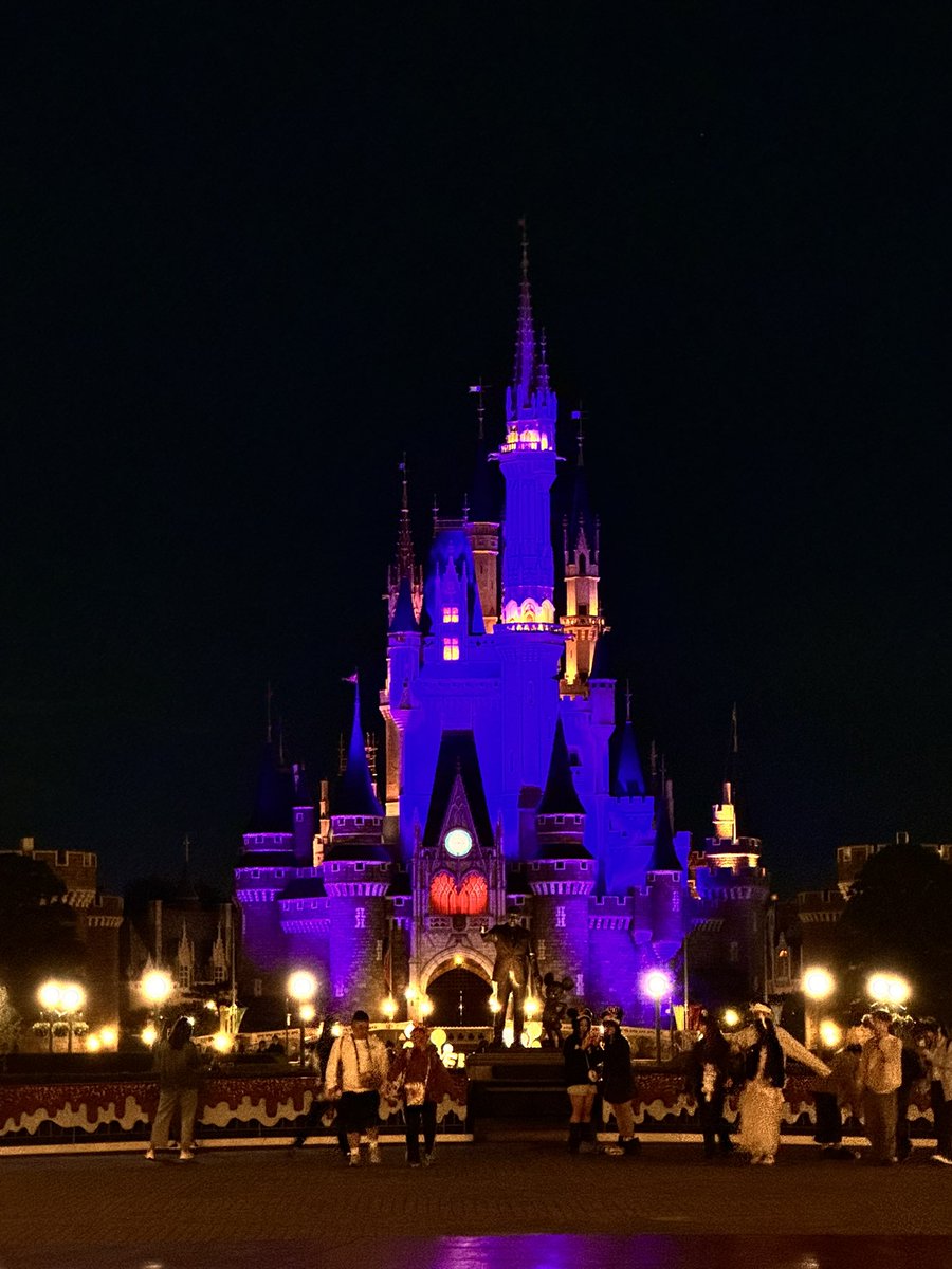 linoalice_'s tweet photo. まりぴと唐突に夜ディズニーした！
けっこう空いてて夜だけでもいろいろ乗れたしお喋りできて楽しかったー😭✨

まりぴ派とりの派で揉めてるとかいう噂どこから出たんだほんと…🤣 https://t.co/U9Ms9L4NZU