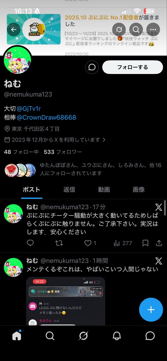 楓 tweet media