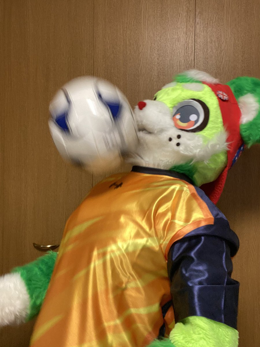 こどもの日だーー🎏！！！
ボール遊びしよ！！！！

 #FursuitEveryday