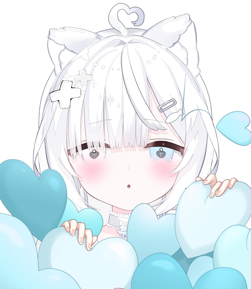 petite_shiro🐈️🤍 tweet media