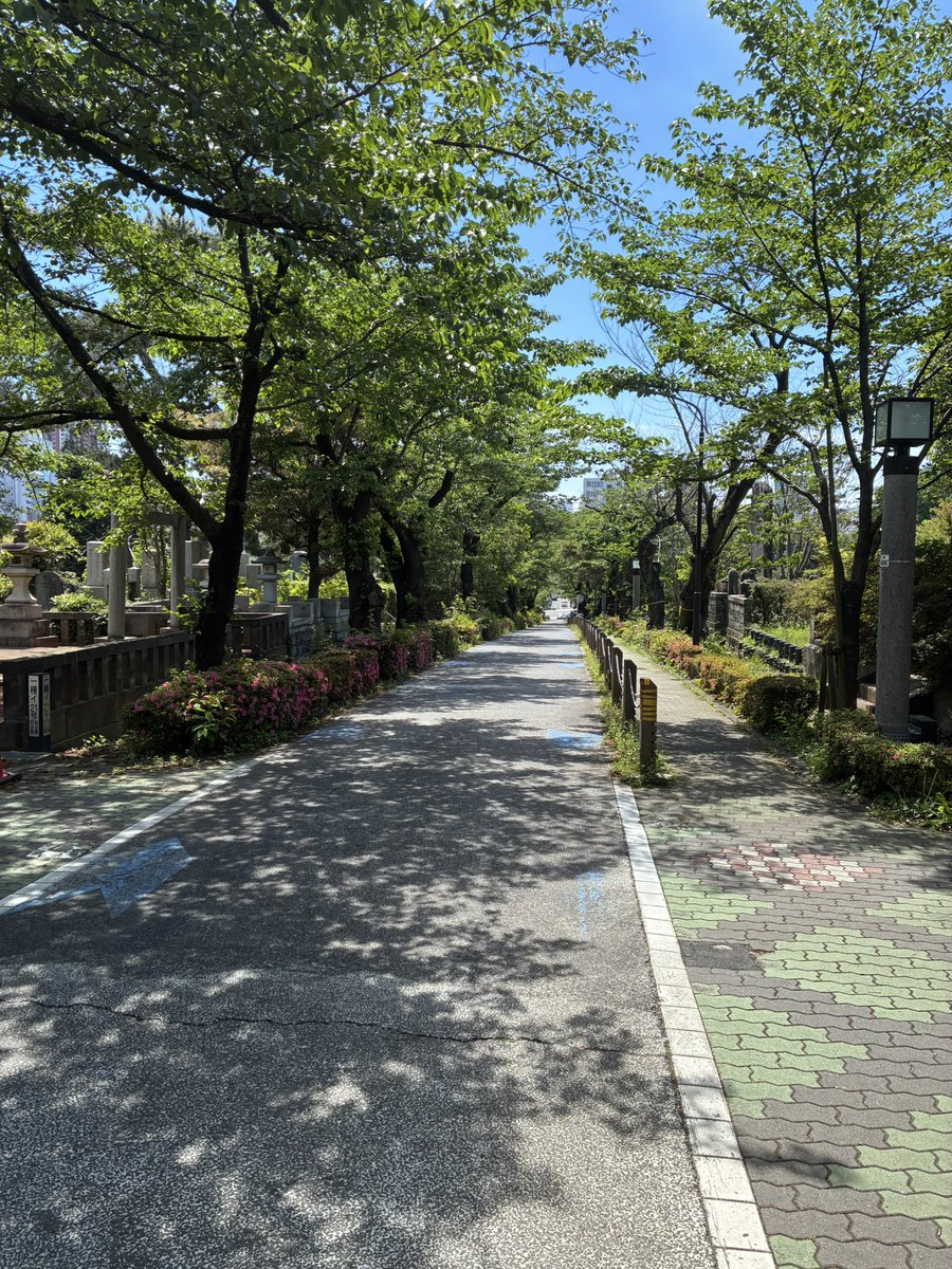 chanhamatta's tweet photo. 青山墓地のあと、恒例のBARBACOAへ

無限に来るシュラスコで満腹死します（;ﾟ;艸;ﾟ;）

#青山墓地
#シュラスコ
#BARBACOA https://t.co/vNoPuCxSKi