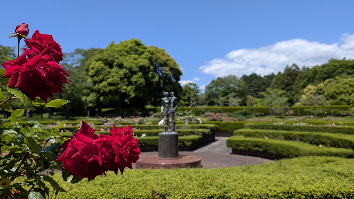 kame202's tweet photo. 富士市広見公園
中央公園に比べるとちょっと地味です。
人気もまばら。 https://t.co/eYrA3UH6gX