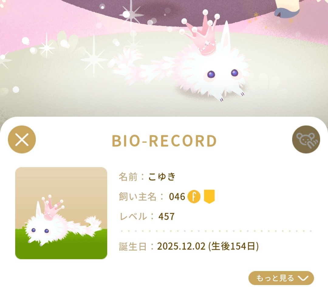 ゆきみ tweet media
