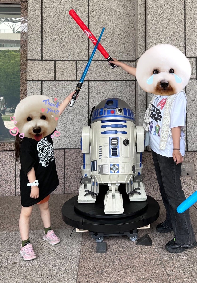 heri01060308's tweet photo. グローグーLOVOTのらってちゃん💚
R2とKT💙🩷
ドロイドってなんでこんなに可愛いんだろ😍
#みなとみらいウォーズ
#スターウォーズの日
#LOVOT https://t.co/4JC0PQ4v4A