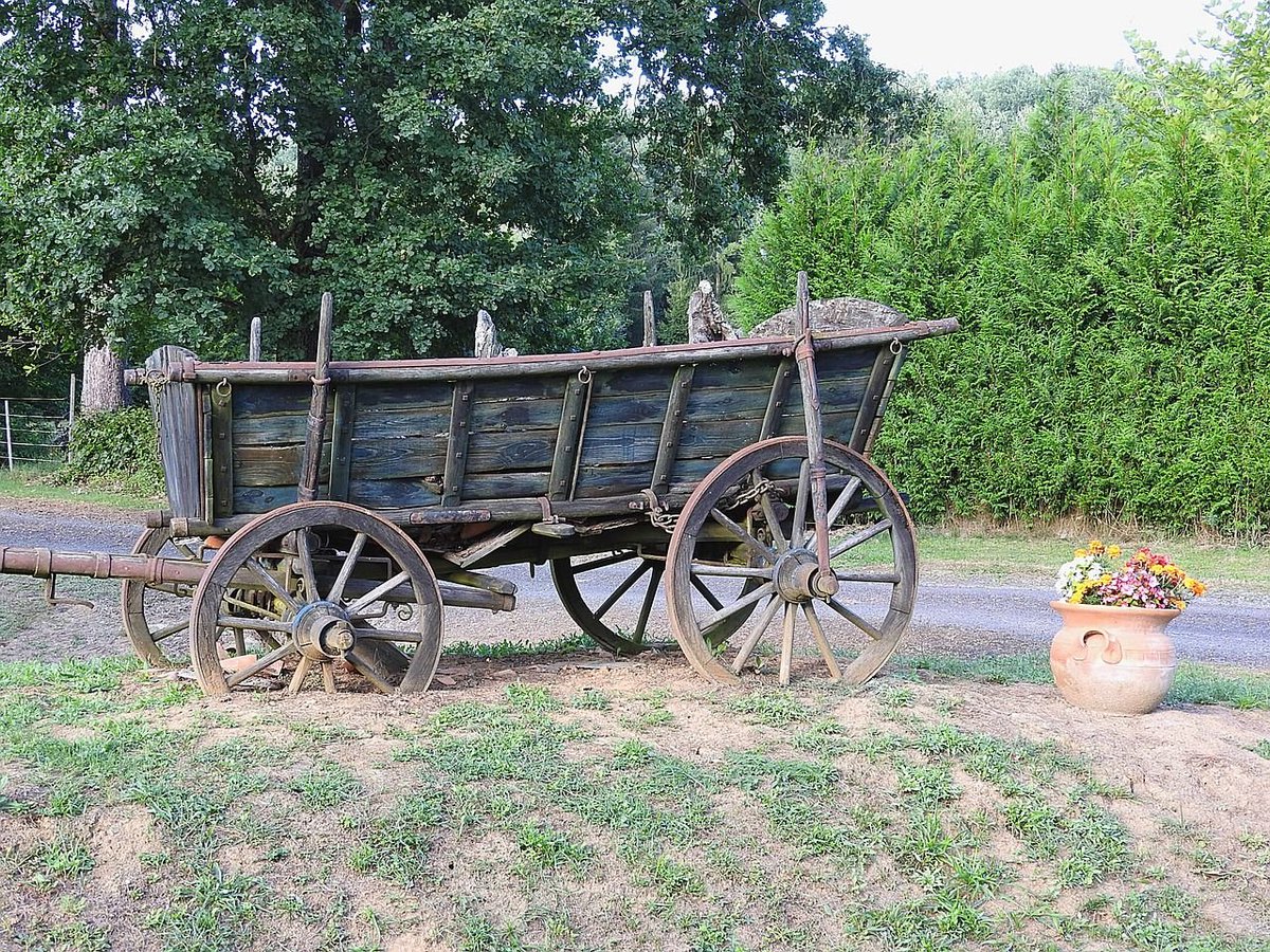 freeboostpromo's tweet image. Imagine a horse-drawn wagon full of books. That was the first bookmobile in 1905, traveling to rural spots so everyone could enjoy reading regardless of location. #bookmobile #library #history #education
buff.ly/tRNEdSe