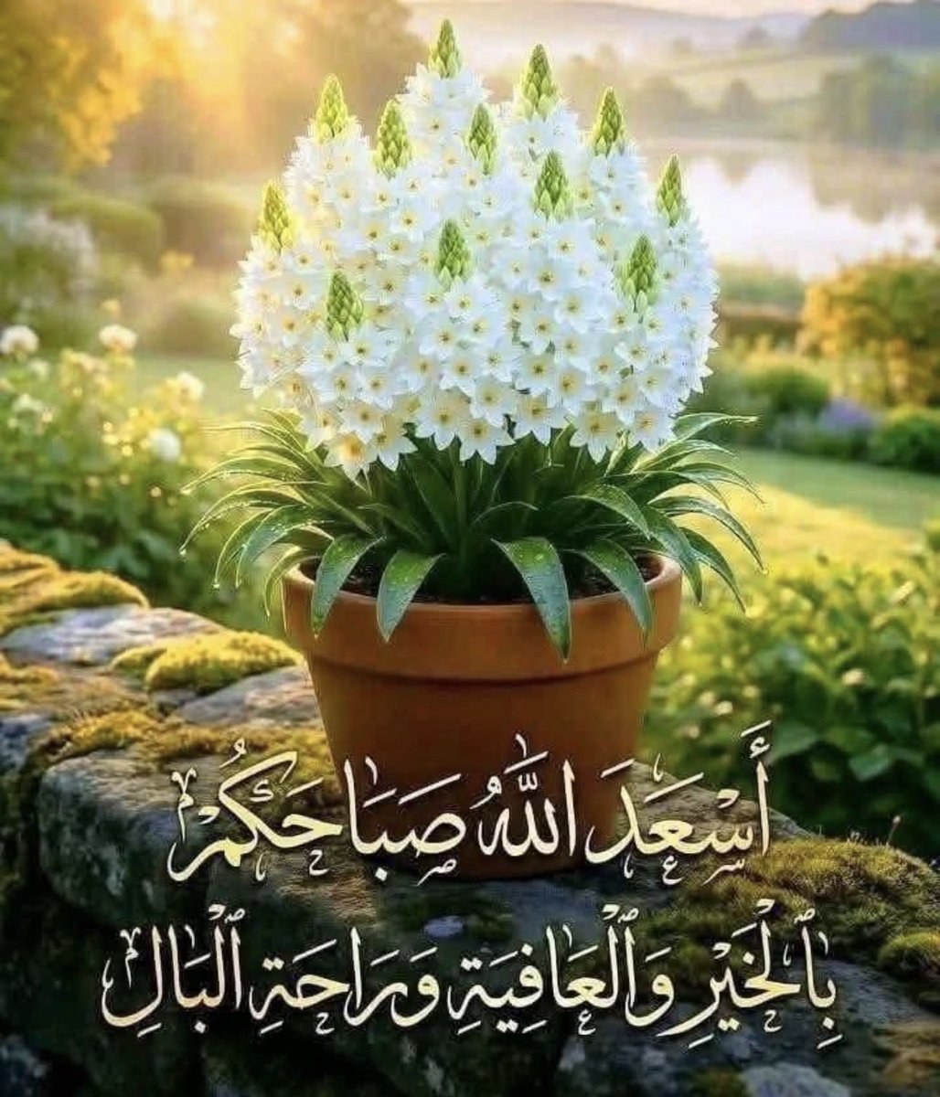 الزمن الجميل tweet media