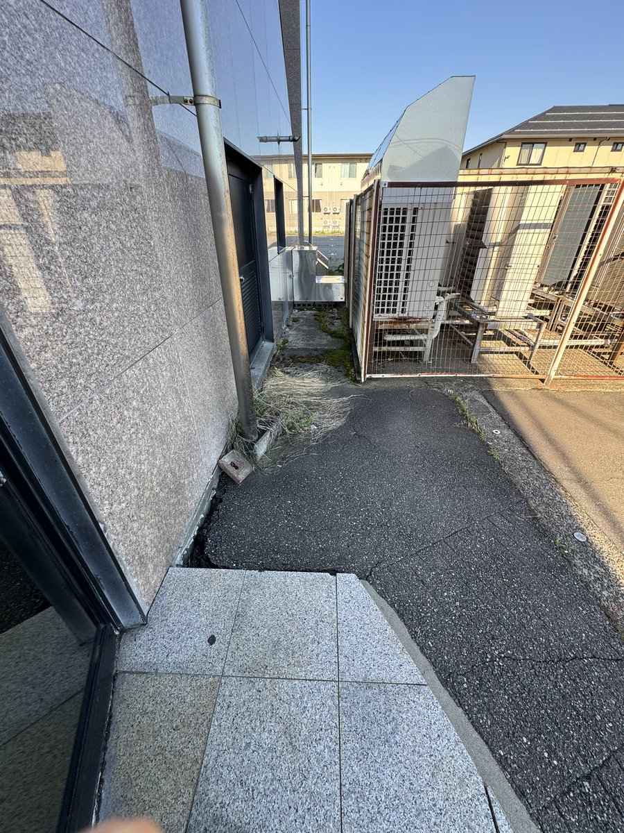 もじゃもじゃ(みつお) tweet media