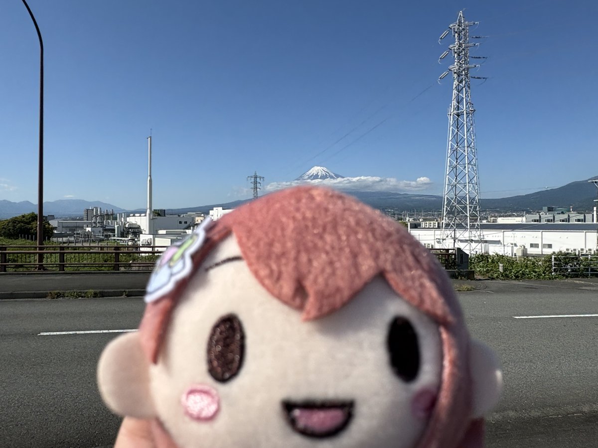 ホワイト tweet media