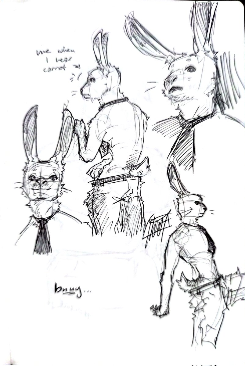 direwoofers's tweet image. Been busy with Exams and exam preparations so I couldn't really draw much.. 
But I have some sketches :3

#anthro #furryart #furry #corgie #wolf #bunny