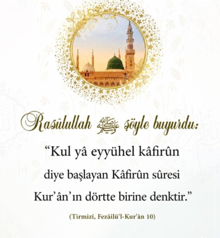 Bay Z. Coskun tweet media