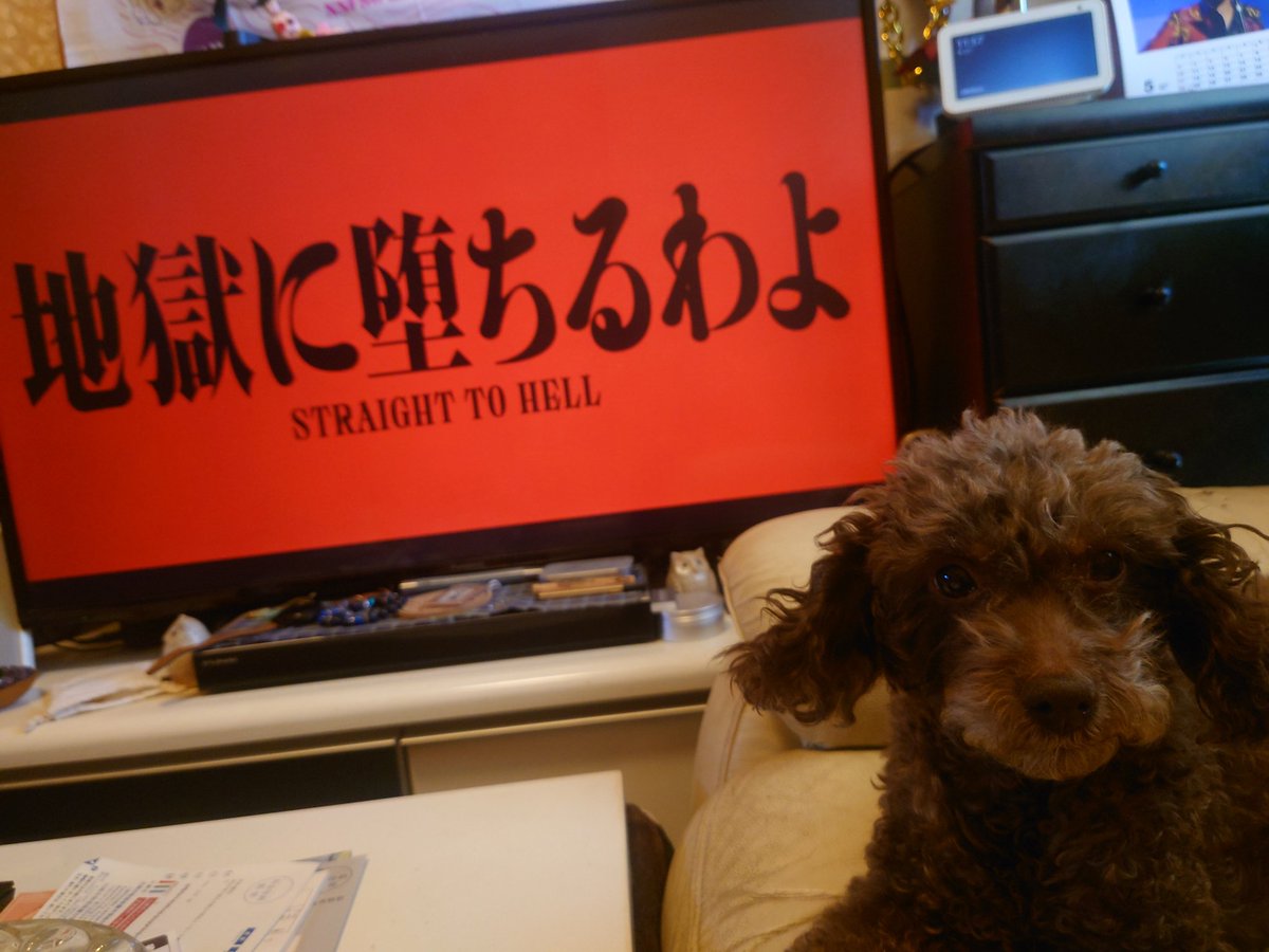ちょんじ tweet media