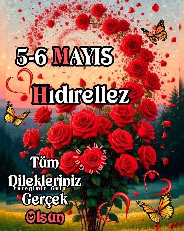 kemal_velioglu's tweet photo. https://t.co/2RUgviYRX8