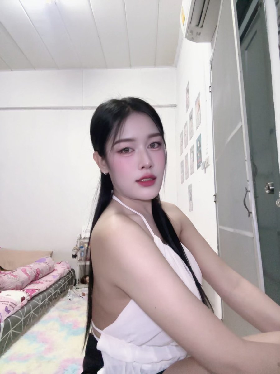 แมวเหมียว tweet media