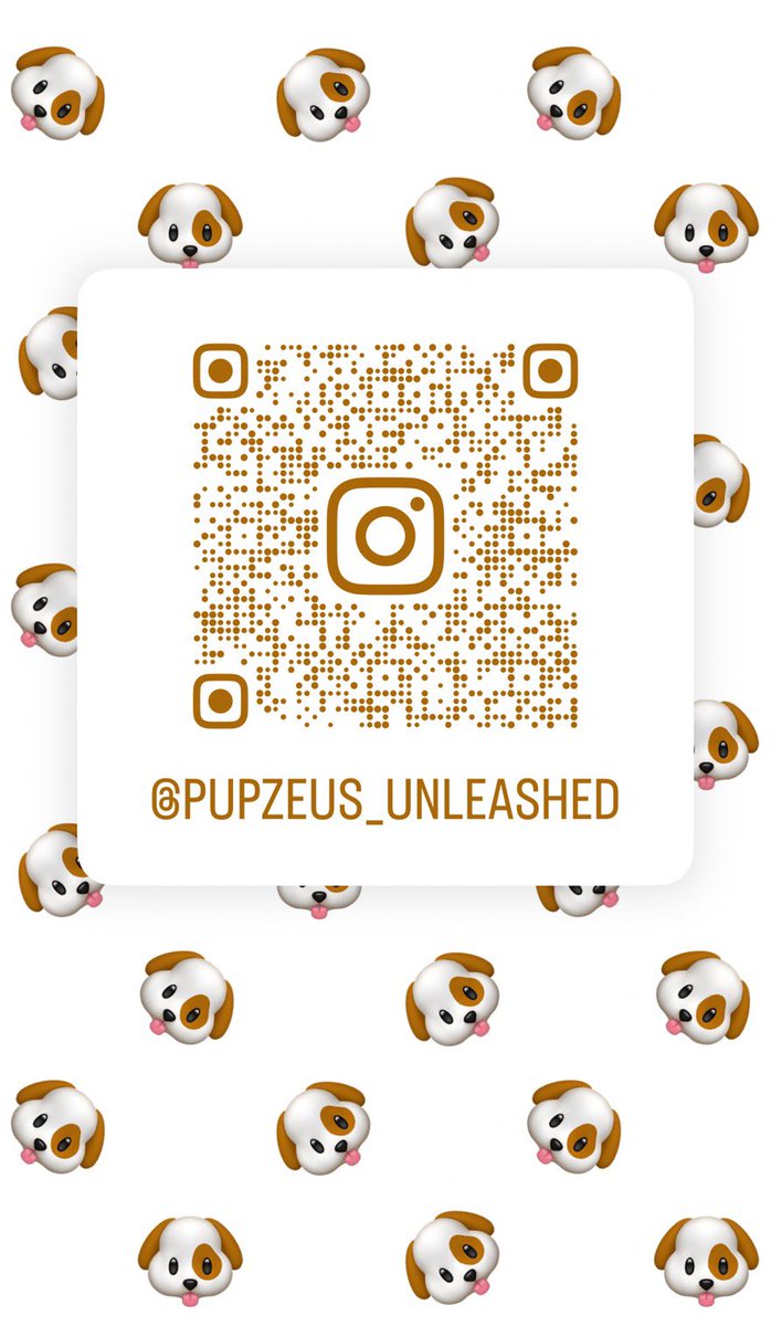 Zeus_pup tweet media