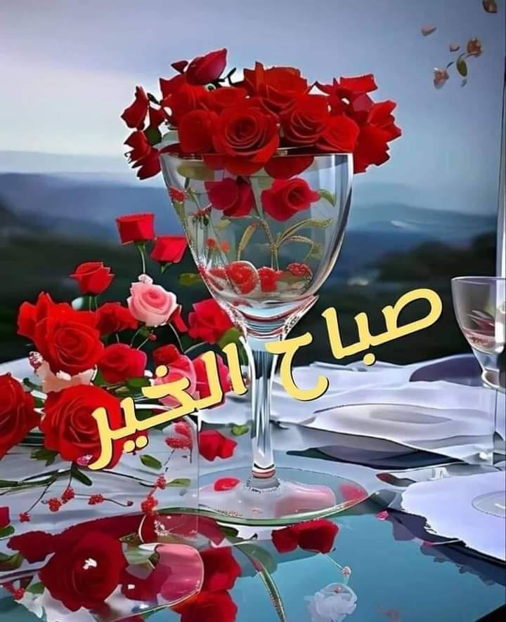 💙HAYA 🇸🇦🌹🕊️ tweet media