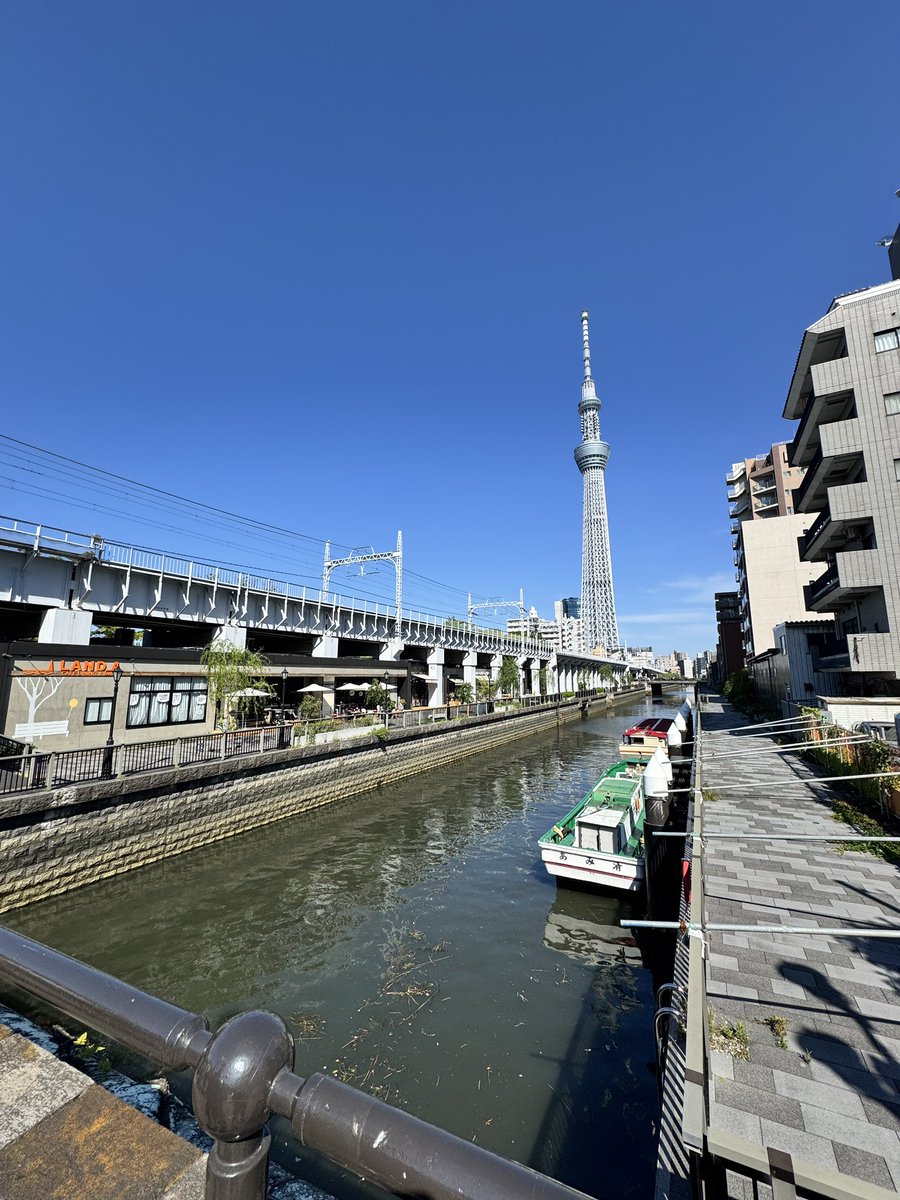 soe（ソエ） tweet media