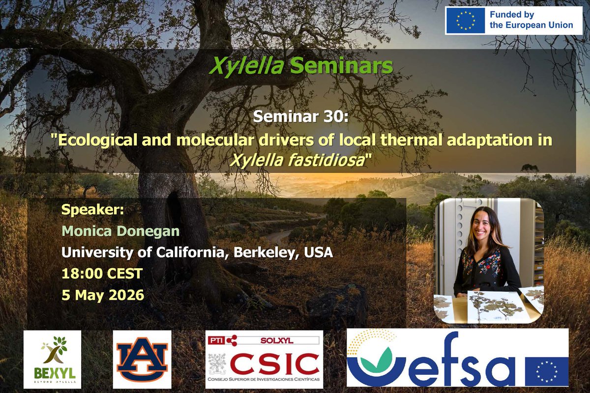 IAS_CSIC's tweet image. #TODAY 📢 new Xylella Seminar organised by @BexylP @EFSA_EU &amp;amp; @AuburnU
👉Seminar: Ecological and molecular drivers of local thermal adaptation in Xylella fastidiosa
🗣️Speaker: Monica Donegan, University of California, USA
📆 5 May
⏰ 18.00 CET
📹Soluciones a Xylella fastidiosa