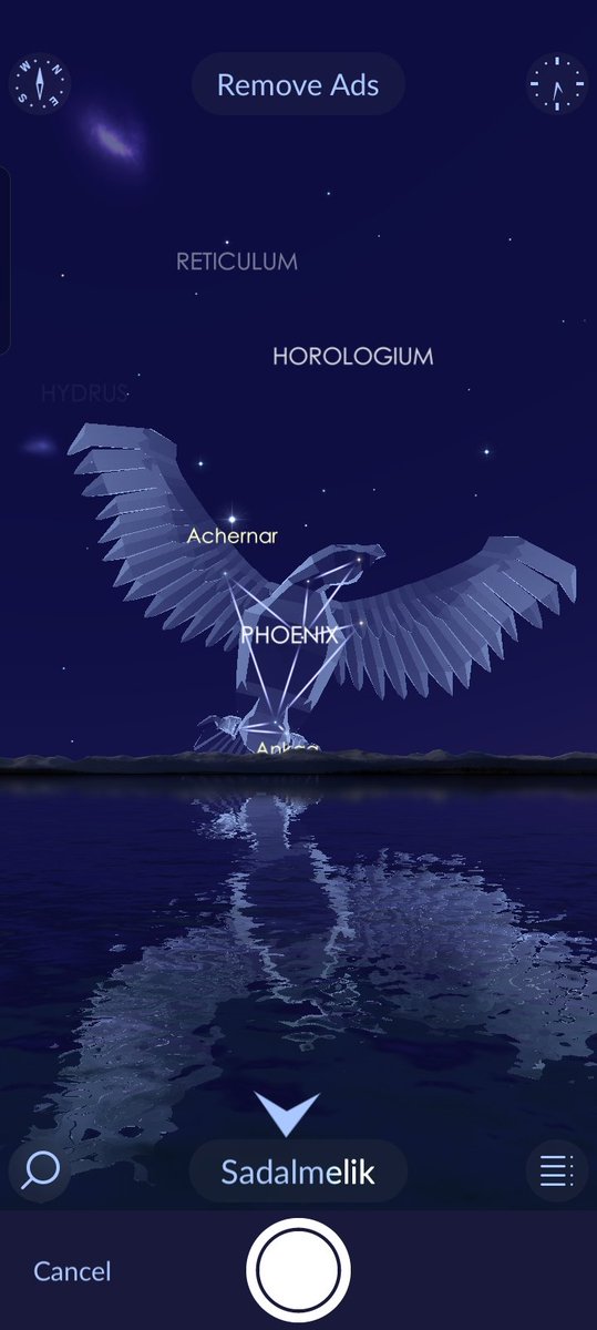 MarkDABond's tweet image. #Planet middle lower right photo.

Not sure.

But #PHOENIX popped up!
