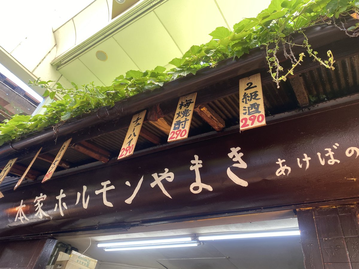 10年ぶり、ブリーダー‼️（INSECT☆STAR） tweet media