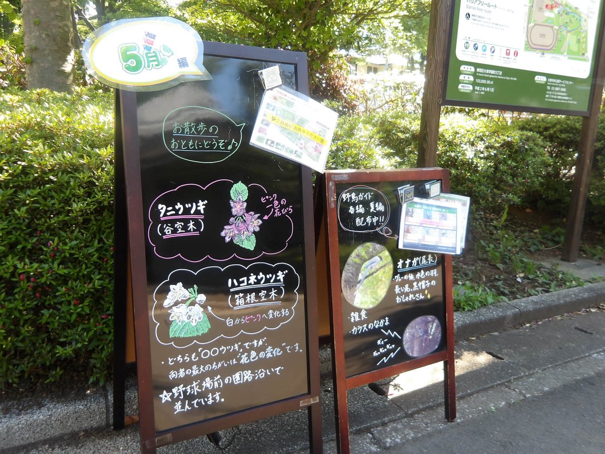 都立大泉中央公園 tweet media