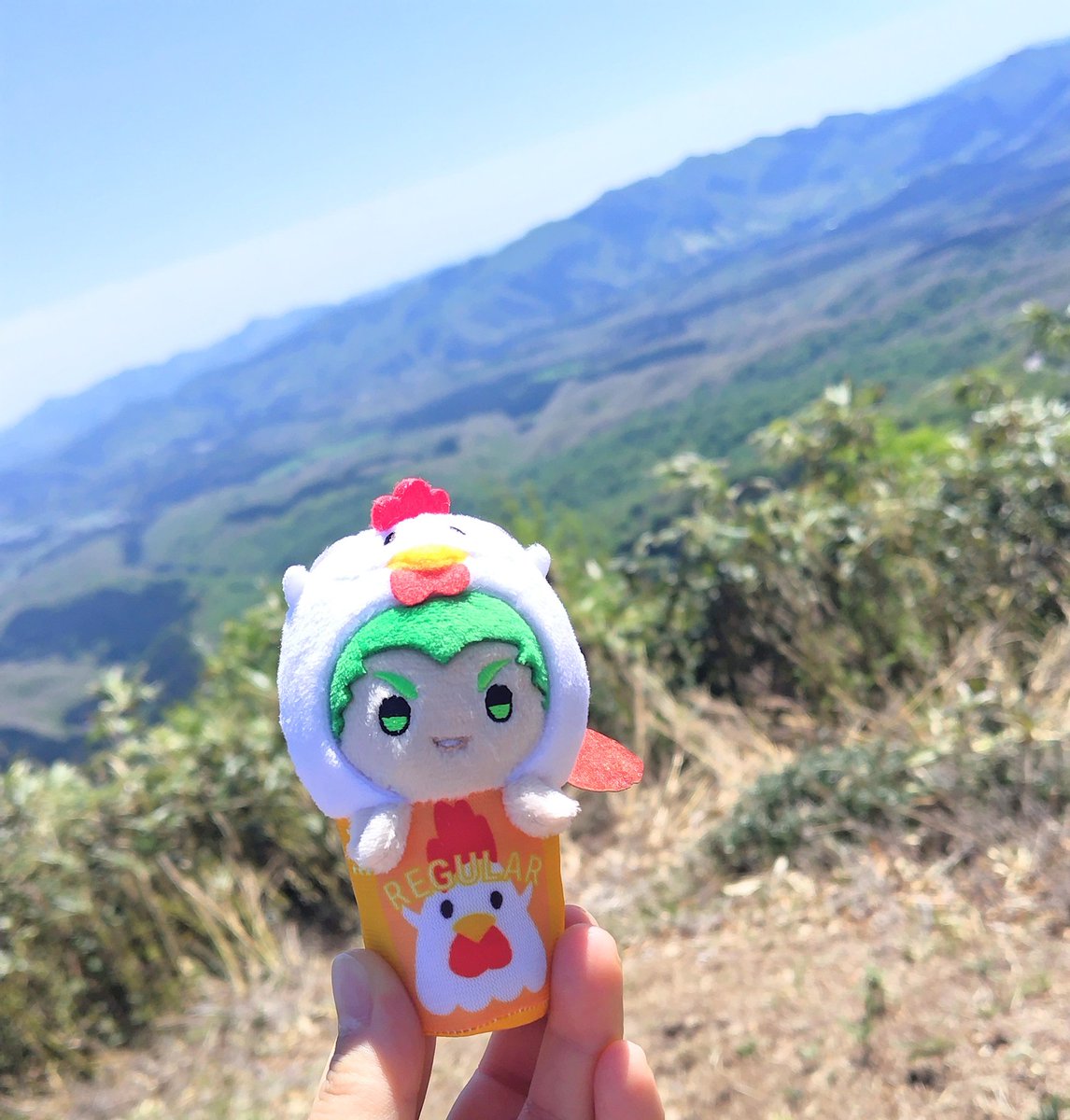 待煎 tweet media