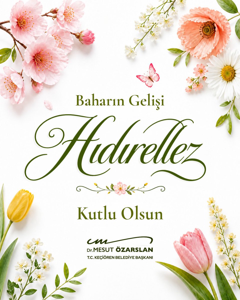 Dr. Mesut Özarslan tweet media