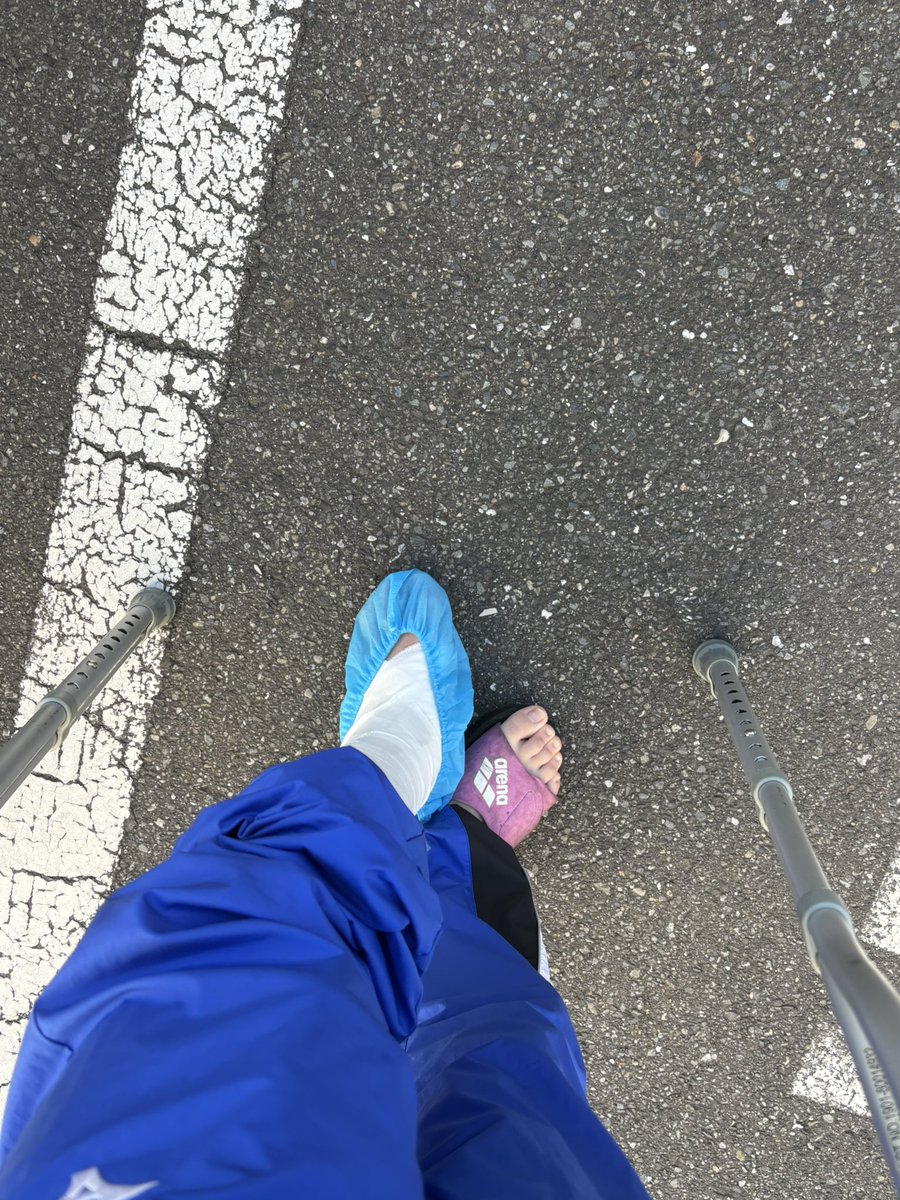 かねみん tweet media