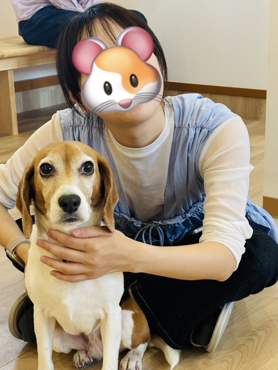 あやたろU´•ﻌ•`U tweet media