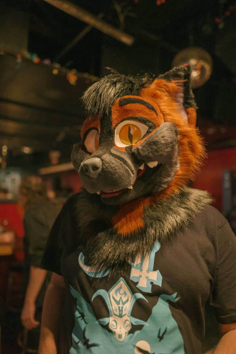 AltezzaFox's tweet photo. Fursona + Fav Car

Eve beyond my username’s sake I deeply want a Delorean DMC - 12 just so I could rip the old PRV engine and slap a turbo 2J in it lol https://t.co/8HKZP5hxSD