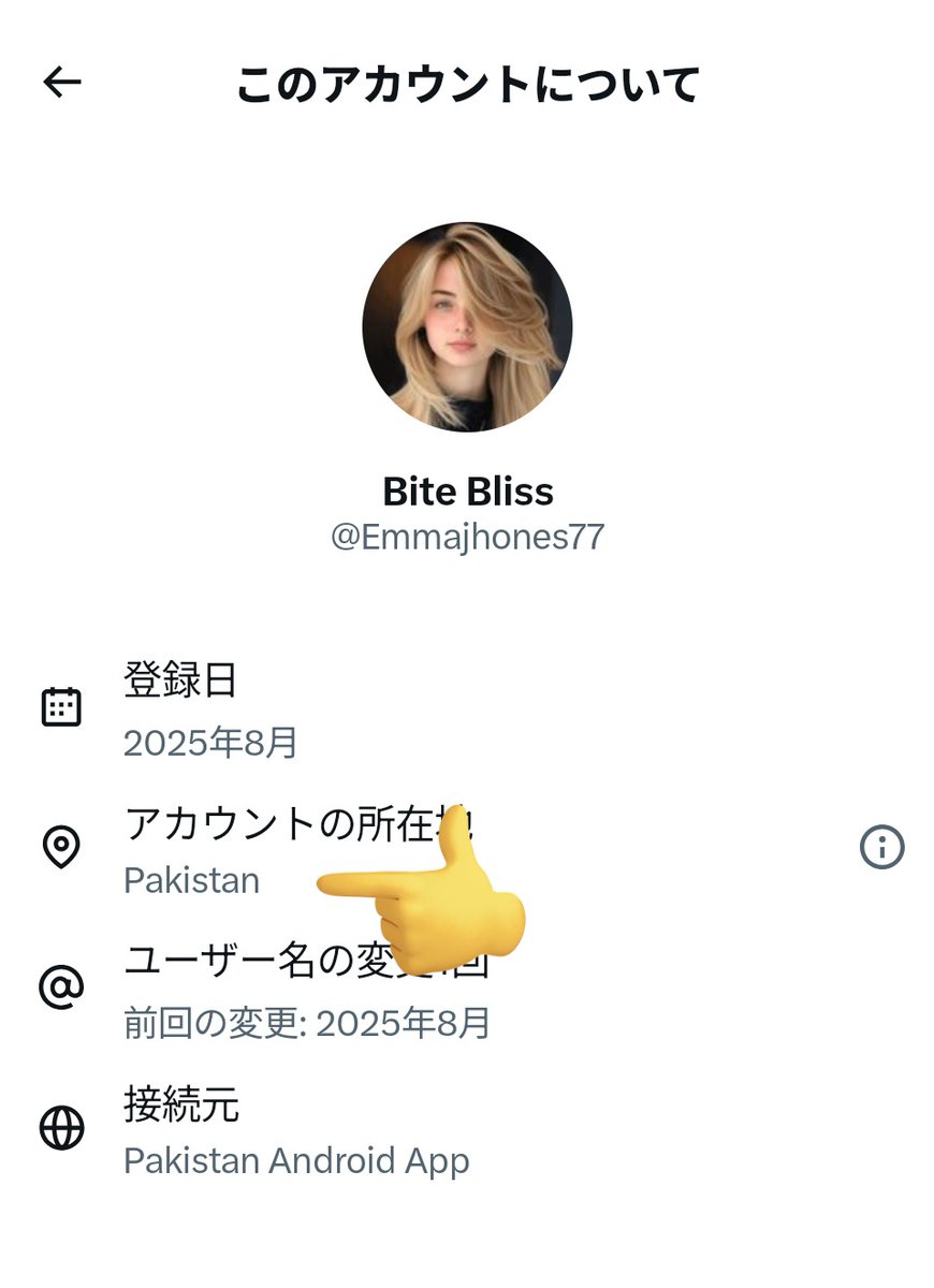 俺はこのパターンの騙り屋が大嫌いなんですよ。
アメリカのフリしてないで、テメーの国のモノで勝負しろや。