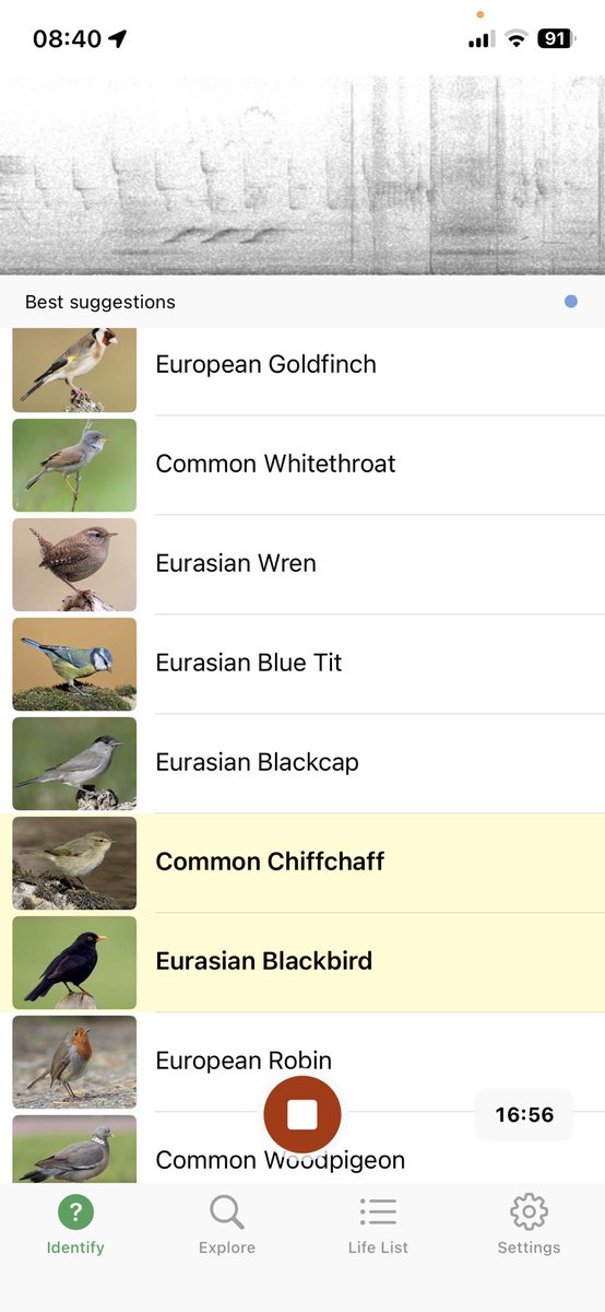 NG4online's tweet photo. Good morning from #Nottingham. A beautiful near cloudless sky this morning  but full of bird song. Let’s hope the sun stays shining for us all today.
9 birds recorded today https://t.co/as1fUw2Gjv