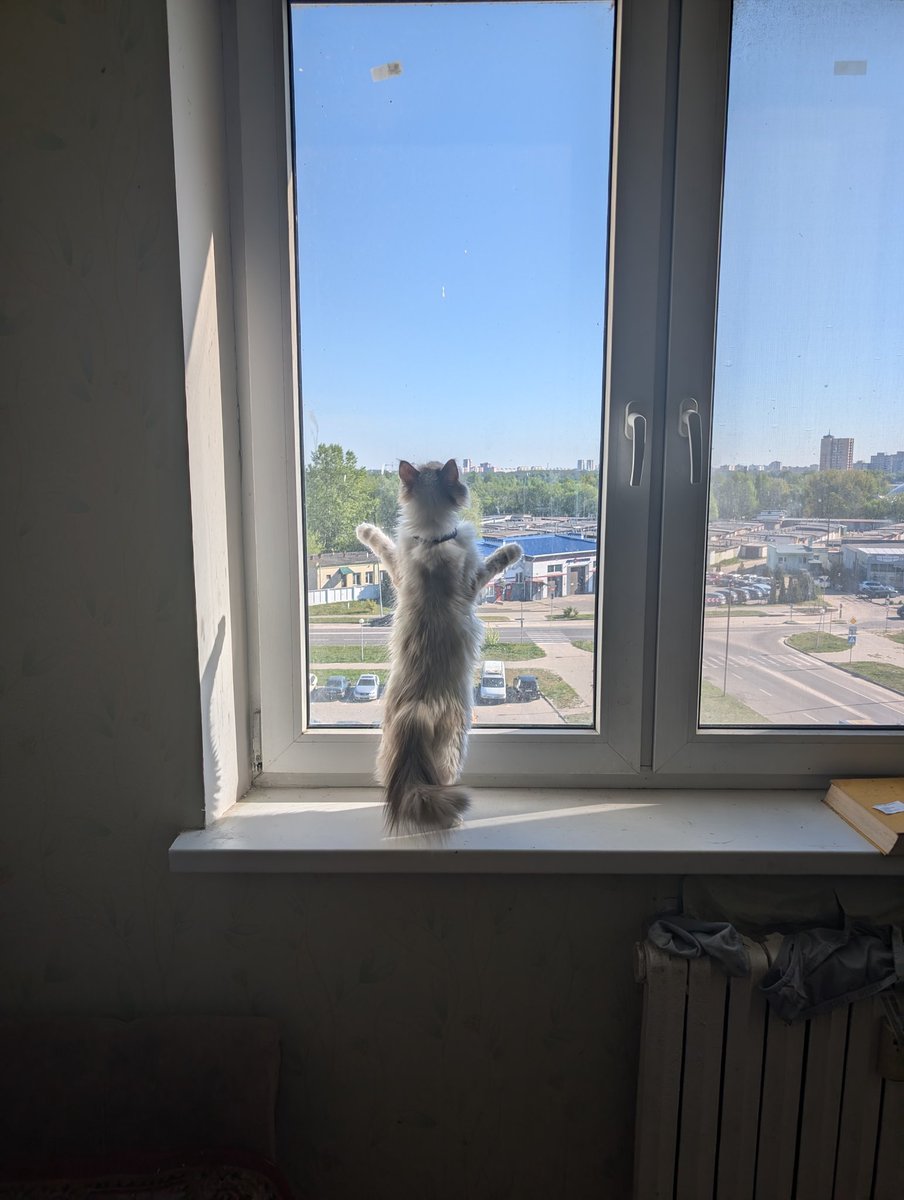 "Ну и грязное же у тебя окно, мать! Этими лапками не отмыть"