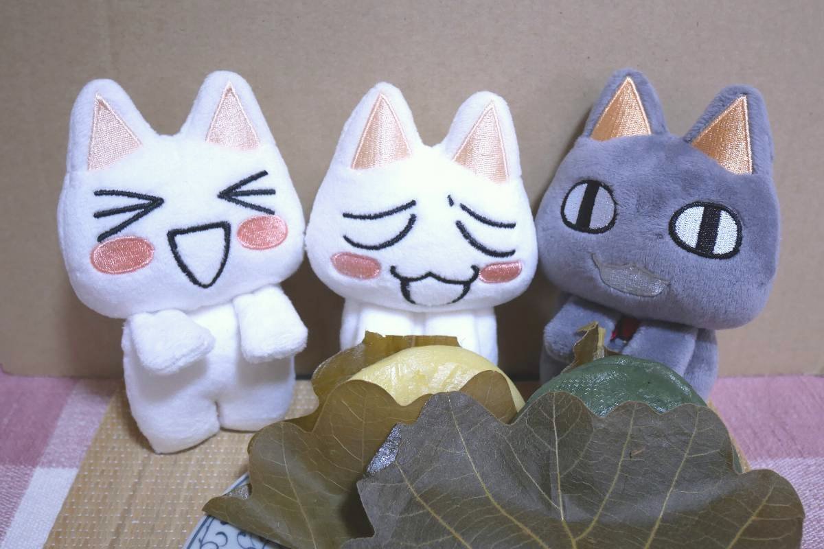 トラ子 (@torako83114606) / Posts / X