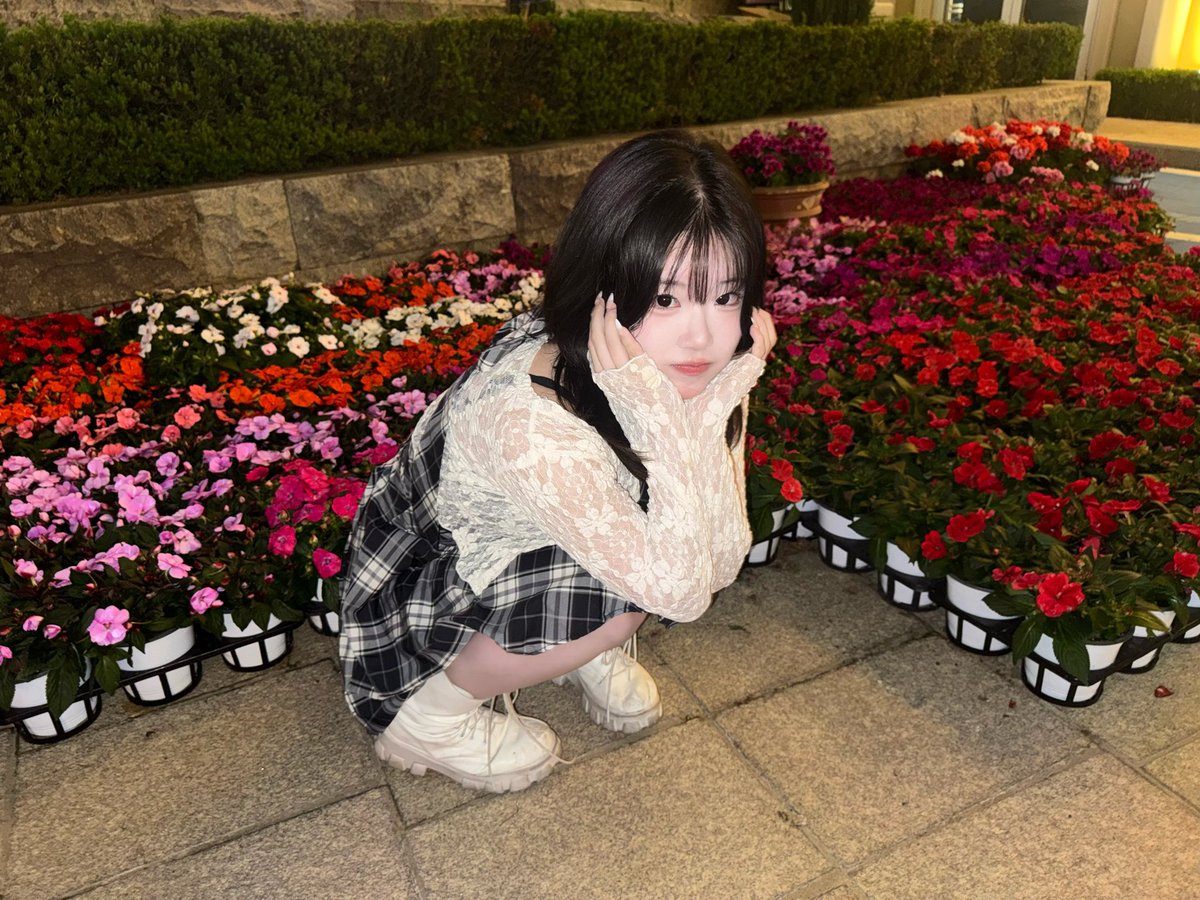 아라 「LiaR」 tweet media