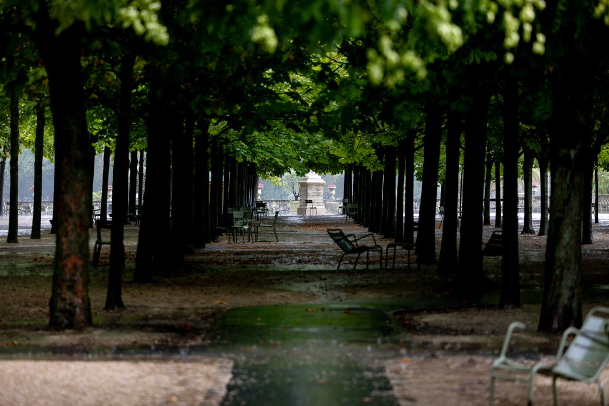 Jour de pluie au Jardin du Luxembourg 🌧️