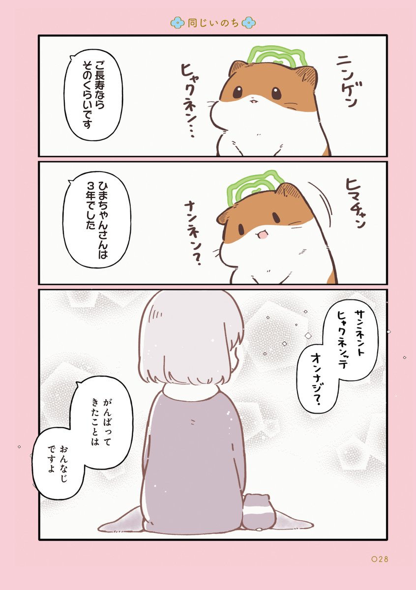 しらほし卯乃@2巻＆ぬいぐるみ🌻🐹 tweet media