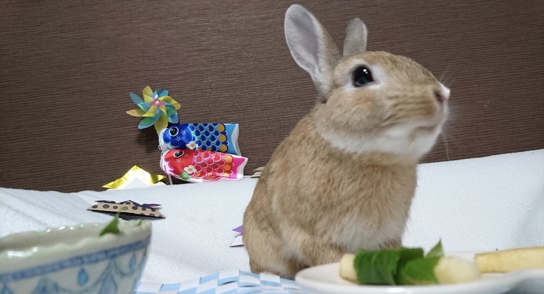 simon_ママモン tweet media