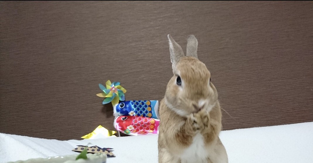 simon_ママモン tweet media