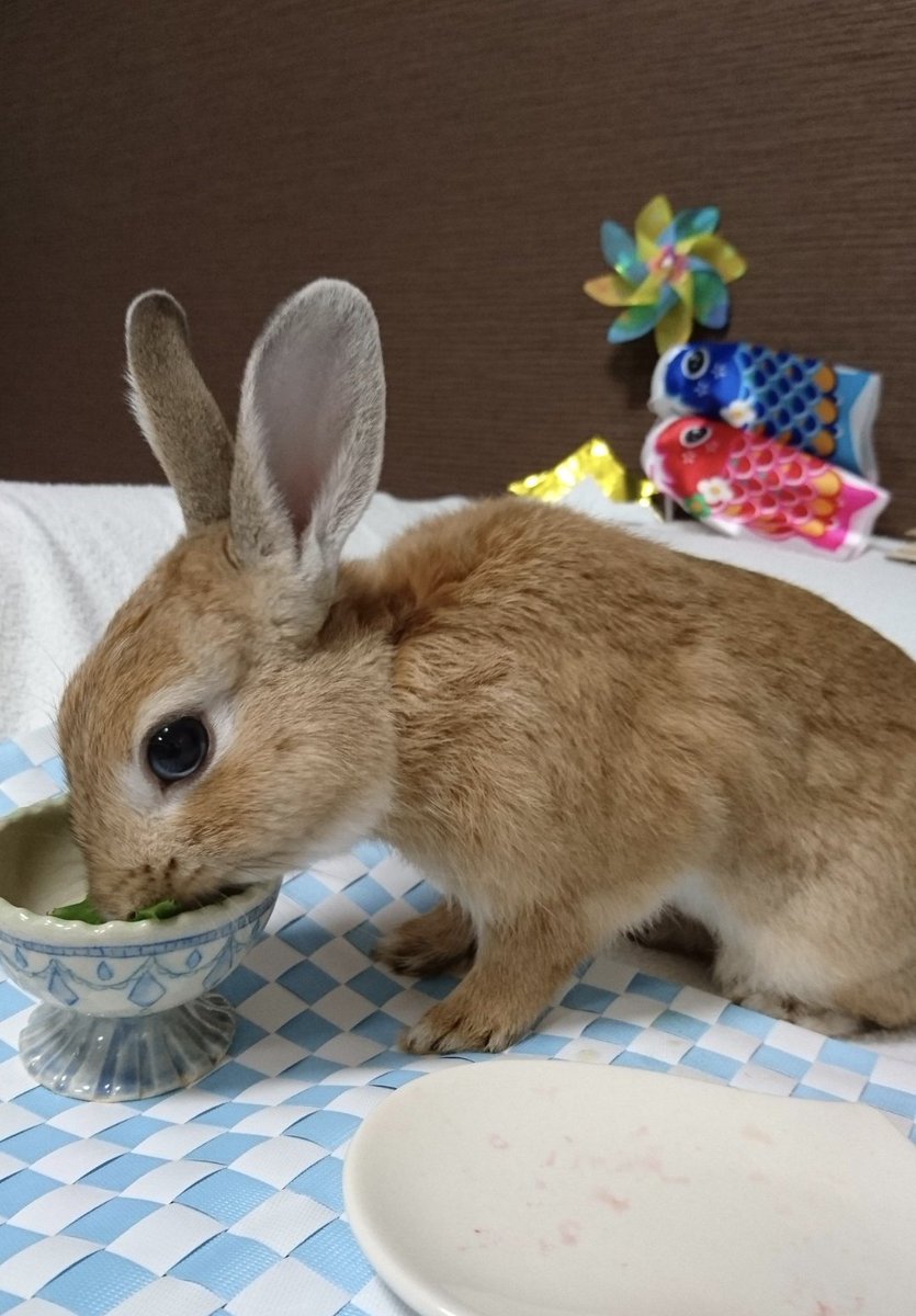 simon_ママモン tweet media