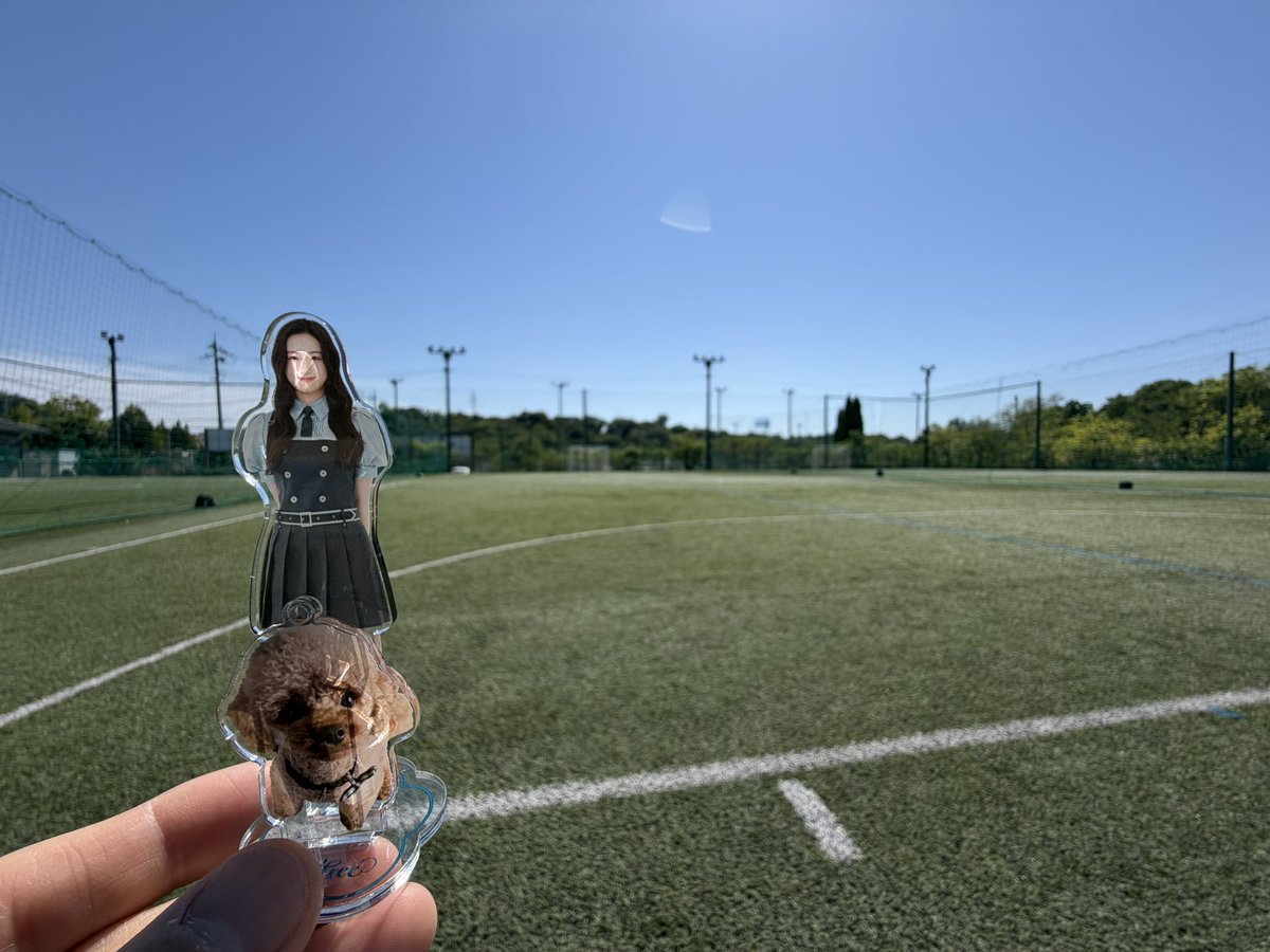 SATORRES9's tweet photo. 【Rain Tree初夏のフリーライブ🍀7/4（土）】
動員2,500人達成祈願キックターゲット⚽️✨
１分間チャレンジして来ましたー👍🏻

みんなが見守る中？😂（いや、みんなさすがの
カメラ目線やんww）
１分間３本蹴って、結果は…❗️

陽射しは強いけど、快晴で吹く風は心地良く、
久しぶりにボール蹴れて良かったー🔆
#レインツリー初夏のフリラ
#RainTree #葉っぴーりぃーふ