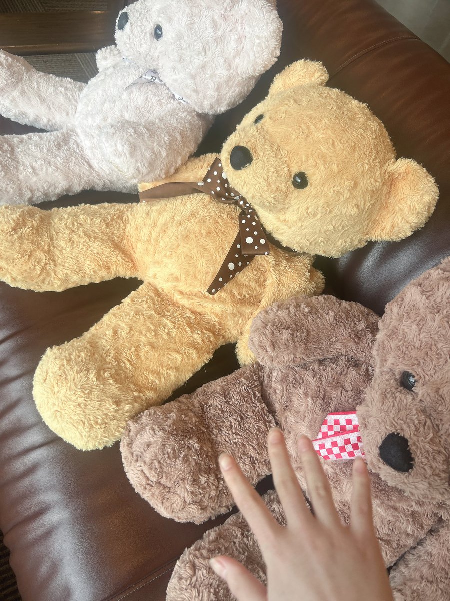 _ioio_ri's tweet photo. ホテルきた
くまのぬいぐるみいっぱいいてはっぴー https://t.co/i7OdrbFIOK