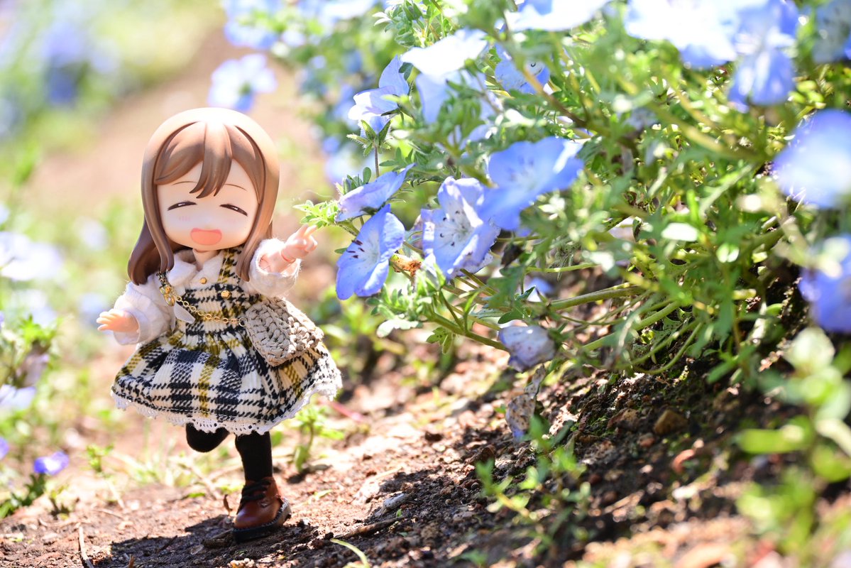 かろん♇ tweet media