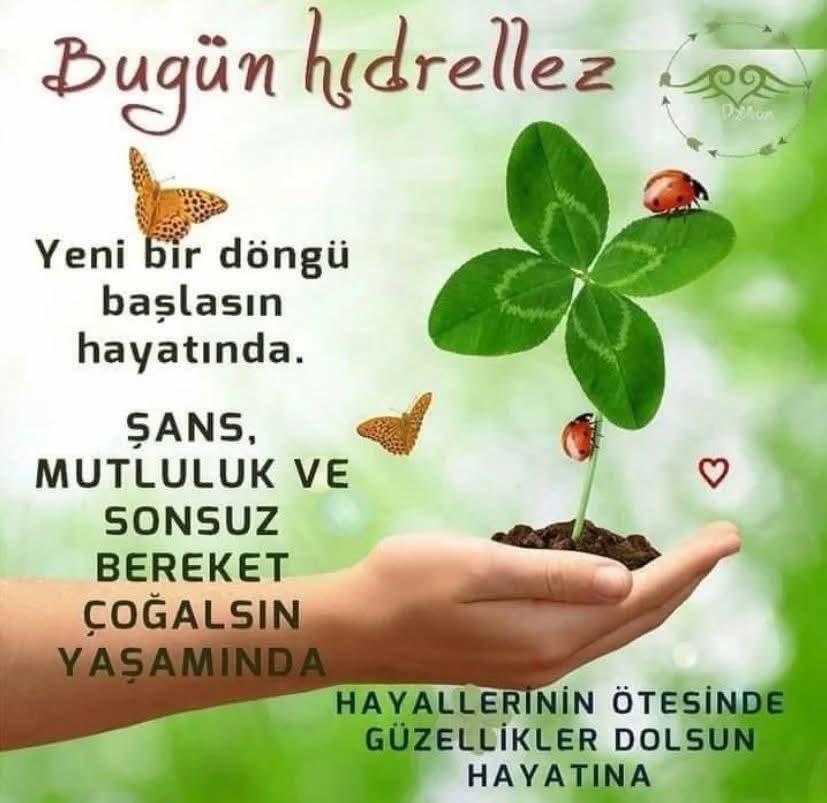 hande cetinkaya tweet media
