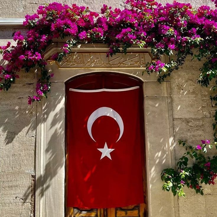 Kitap Alıntılarım tweet media