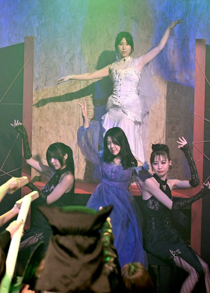土岐碧 tweet media