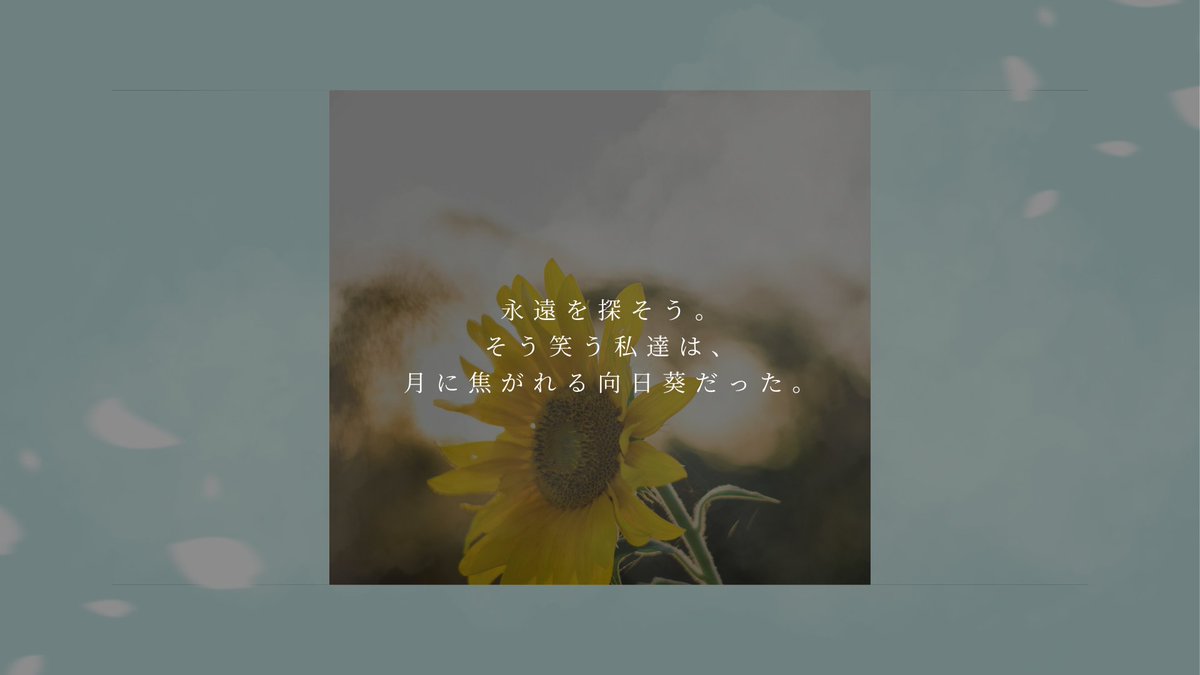 こくり💘 tweet media
