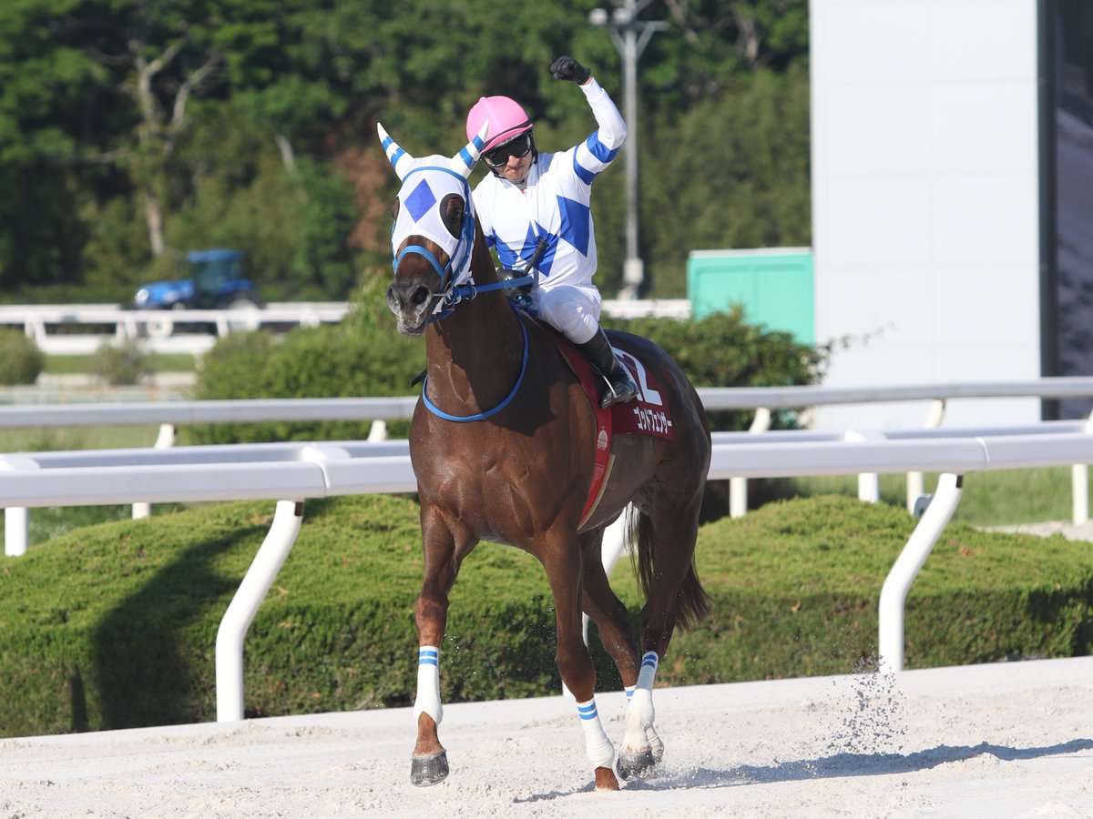 兵庫アーバン競馬(HUK)園田競馬場•姫路競馬場 公式 tweet media